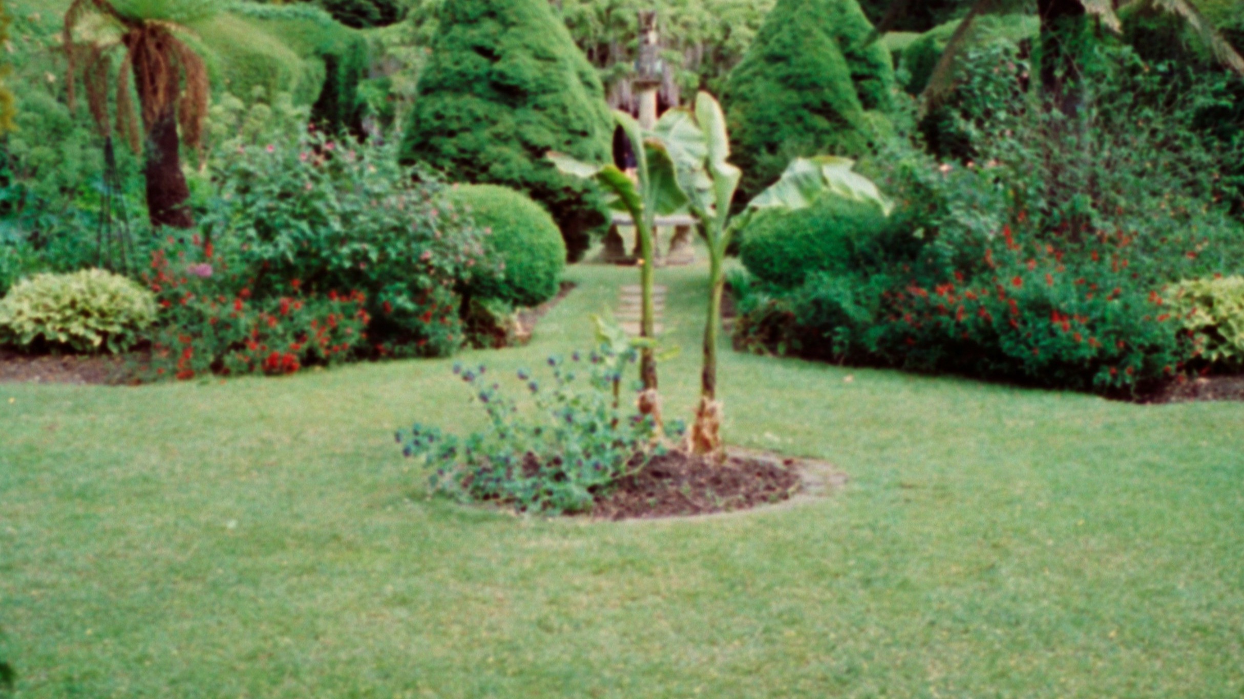 Strukturierter Garten mit klarer Wegeführung und ruhiger Pflanzgestaltung