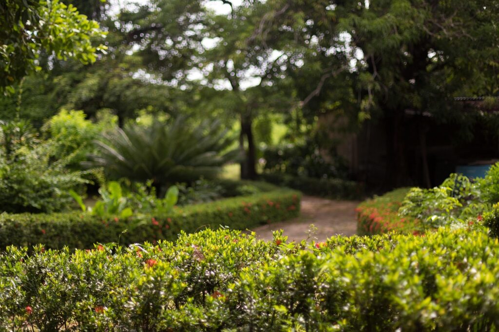 Klare Gartenstruktur durch geschnittene Hecken und Wegeführung