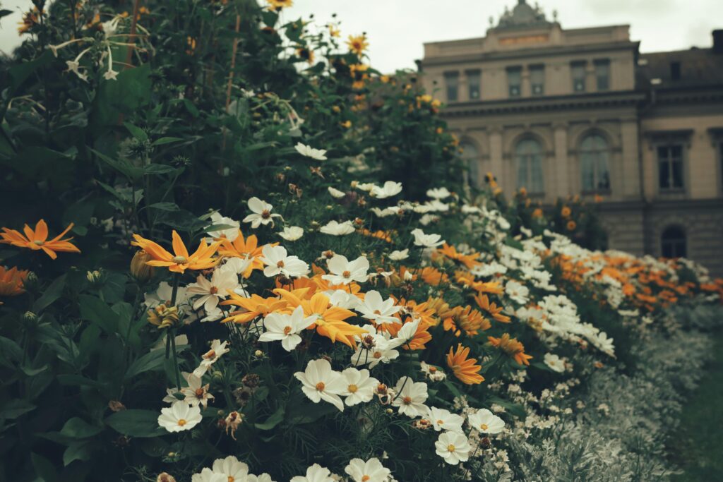 Leistungen in der Gartengestaltung – strukturierte Beetgestaltung mit Stauden